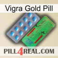 Vigra Gold Pill new03